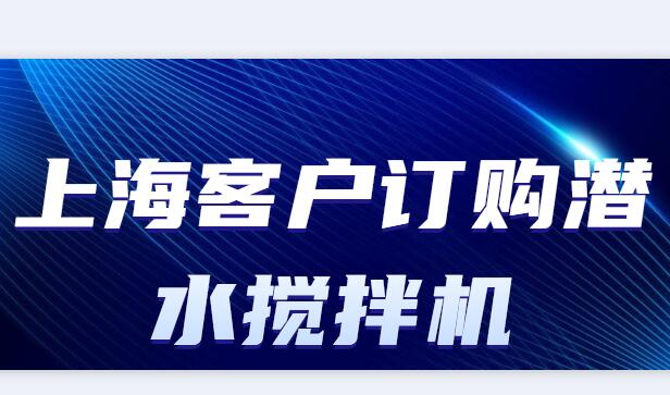 上海客户订购潜水搅拌机